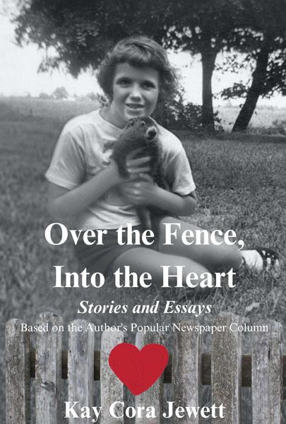 Produktbild: Over the Fence, Into the Heart