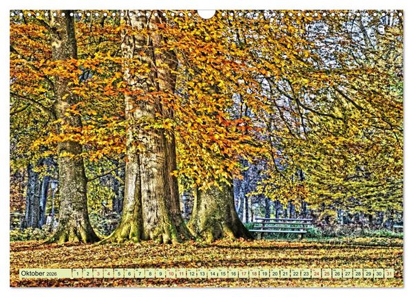 Produktbild: Verwunschene Waldtr&auml;ume: Ein Kalender voller Magie (Wandkalender 2026 DIN A3 quer), CALVENDO Monatskalender