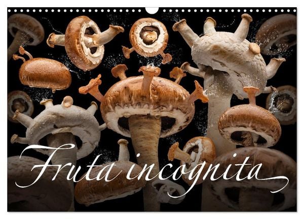 Fruta incognita - Die wundersame Welt des Fotografen Olaf Bruhn (Wandkalender 2025 DIN A3 quer), CALVENDO Monatskalender