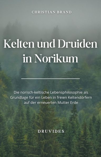 Produktbild: Kelten und Druiden in Norikum