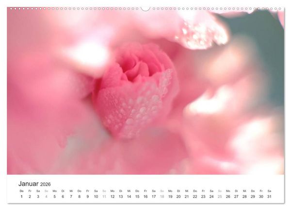Produktbild: Kirschbl&uuml;tentraum (hochwertiger Premium Wandkalender 2026 DIN A2 quer), Kunstdruck in Hochglanz