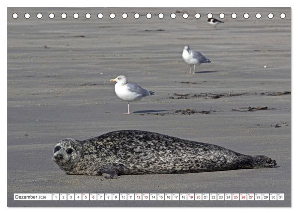 Produktbild: Helgoland - Hochseeinsel in der Nordsee (Tischkalender 2026 DIN A5 quer), CALVENDO Monatskalender