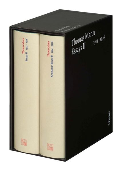 Produktbild: Essays 02. Gro&szlig;e kommentierte Frankfurter Ausgabe
