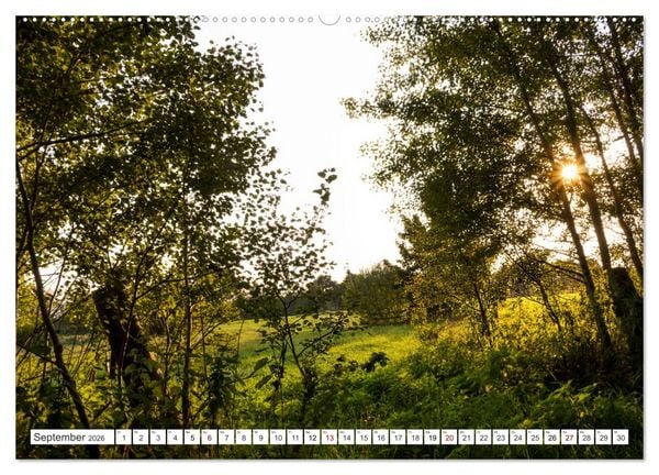 Produktbild: Osterholz-Scharmbeck, Natur-Impressionen aus dem Teufelsmoor (Wandkalender 2026 DIN A2 quer), CALVENDO Monatskalender