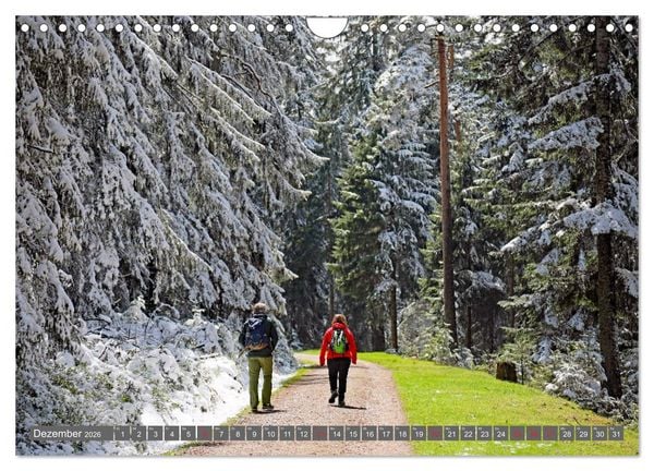 Produktbild: Schwarzwald-Wanderungen (Wandkalender 2026 DIN A4 quer), CALVENDO Monatskalender