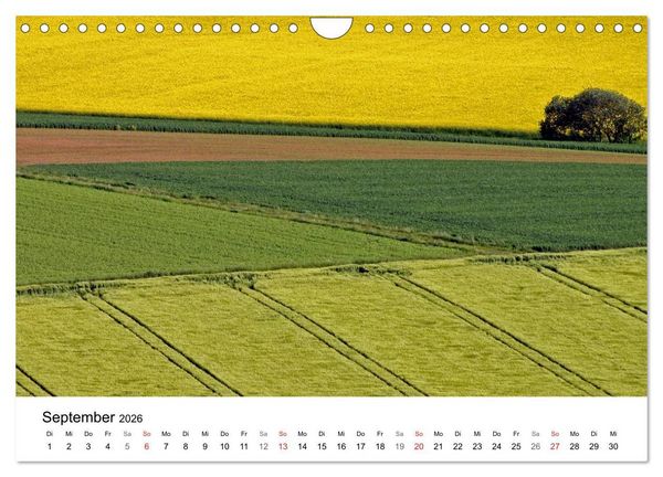 Produktbild: Rapsodie (Wandkalender 2026 DIN A4 quer), CALVENDO Monatskalender