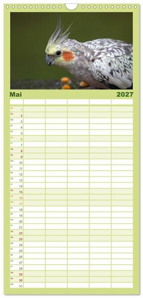 Produktbild: Familienplaner 2027 - Nymphensittiche mit 5 Spalten (Wandkalender, 21 x 45 cm) CALVENDO
