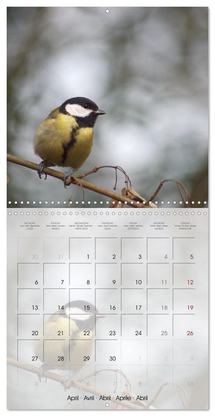 Produktbild: Le jardin des m&eacute;sanges (Calendrier mural carr&eacute; 2026 30x30 cm) Calendrier double avec une page pour vos prises de notes