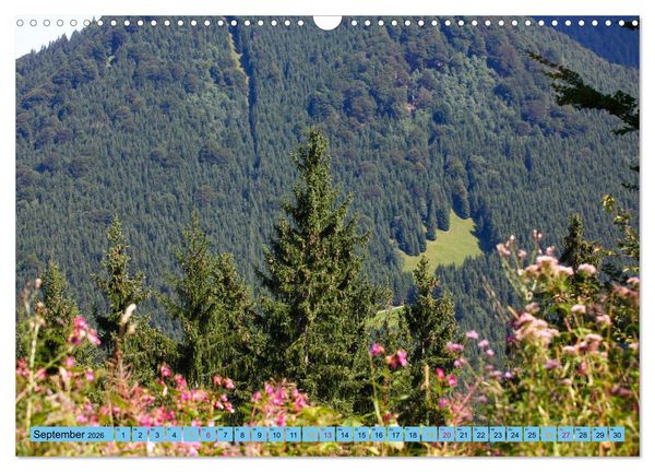 Produktbild: Sch&ouml;ner Forggensee (Wandkalender 2026 DIN A3 quer), CALVENDO Monatskalender