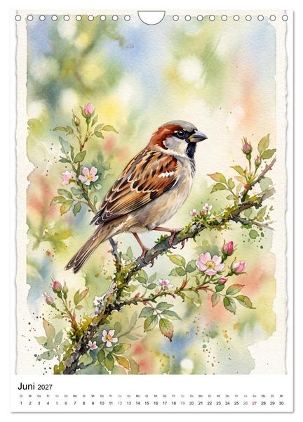Produktbild: Gefiederte S&auml;nger der Natur (Wandkalender 2027 DIN A4 hoch), CALVENDO Monatskalender