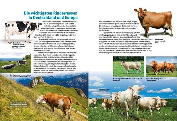 Produktbild: Entdecke die K&uuml;he