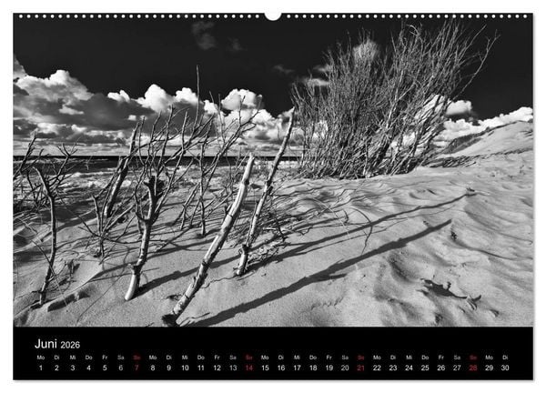 Produktbild: Strandspaziergang an der Ostsee (Wandkalender 2026 DIN A2 quer), CALVENDO Monatskalender