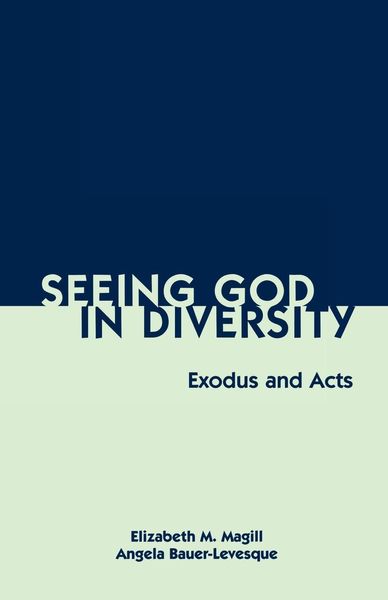 Produktbild: Seeing God in Diversity