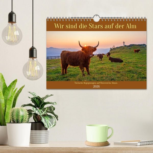 Produktbild: Wir sind die Stars auf der Alm (Wandkalender 2026 DIN A4 quer), CALVENDO Monatskalender