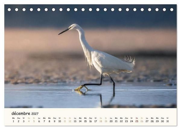 Produktbild: Esprit animal - Regards minimalistes (Calendrier de bureau 2027 DIN A5 vertical), CALVENDO calendrier mensuel