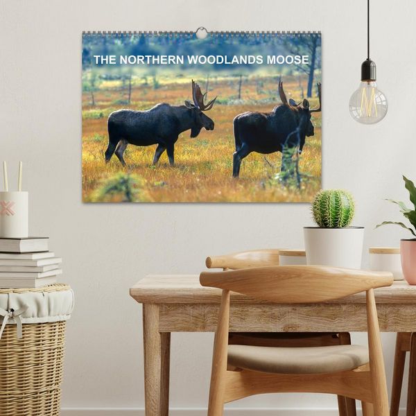 Produktbild: THE NORTHERN WOODLANDS MOOSE (Wall Calendar 2026 DIN A3 landscape), CALVENDO 12 Month Wall Calendar