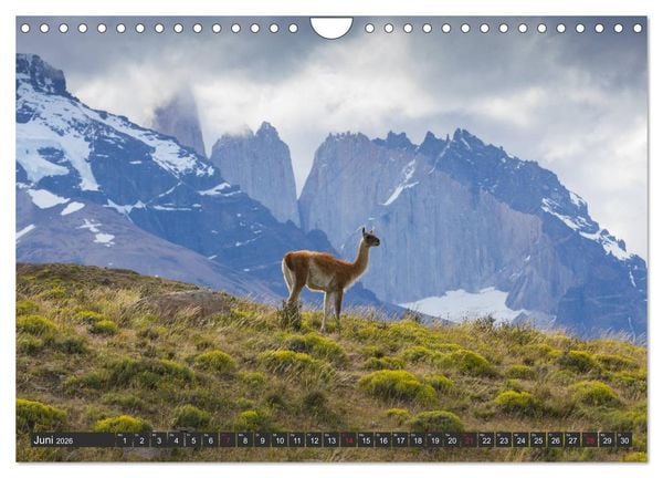 Produktbild: Traumwelt Chile (Wandkalender 2026 DIN A4 quer), CALVENDO Monatskalender