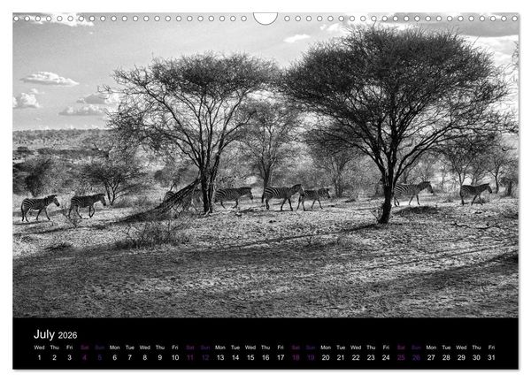 Produktbild: East Africa - Tanzania and Kenya / UK-Version (Wall Calendar 2026 DIN A3 landscape), CALVENDO 12 Month Wall Calendar