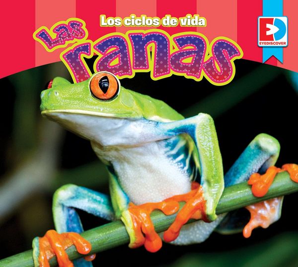 Produktbild: Los ciclos de vida - Las Ranas