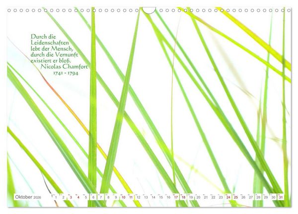 Produktbild: Leben! - Nachdenk-Kalender (Wandkalender 2026 DIN A3 quer), CALVENDO Monatskalender
