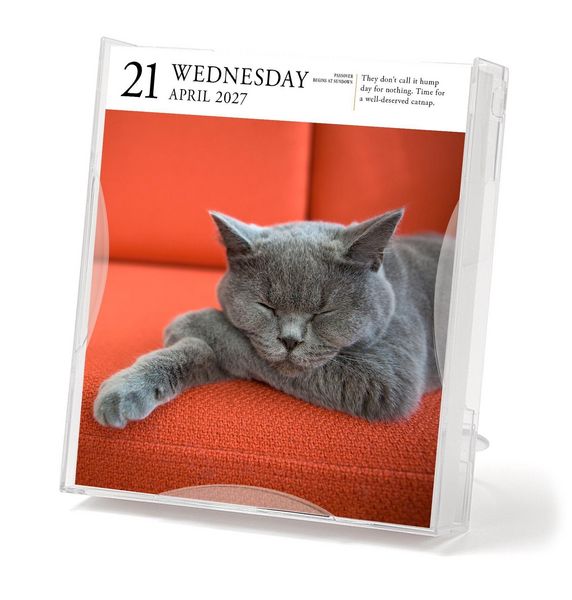Produktbild: Cat Page-A-Day&reg; Gallery Calendar 2027