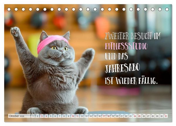 Produktbild: Katzenlogik - Wenn Blicke miauen k&ouml;nnten (Tischkalender 2026 DIN A5 quer), CALVENDO Monatskalender