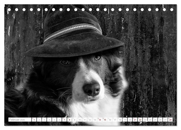 Produktbild: Hund tr&auml;gt Hut (Tischkalender 2026 DIN A5 quer), CALVENDO Monatskalender