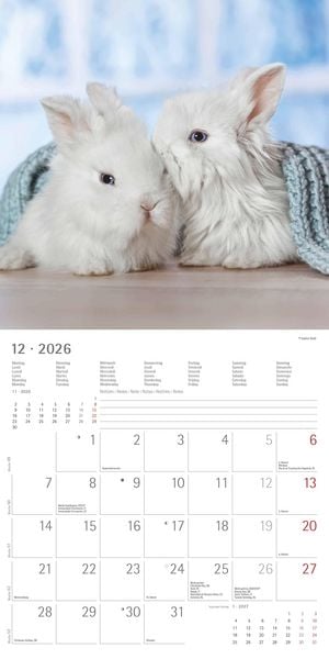Produktbild: Kaninchen 2026 - Broschürenkalender 30x30 cm (30x60 geöffnet) - Kalender mit Platz für Notizen - Rabbits - Bildkalender - Wandplaner - Wandkalender