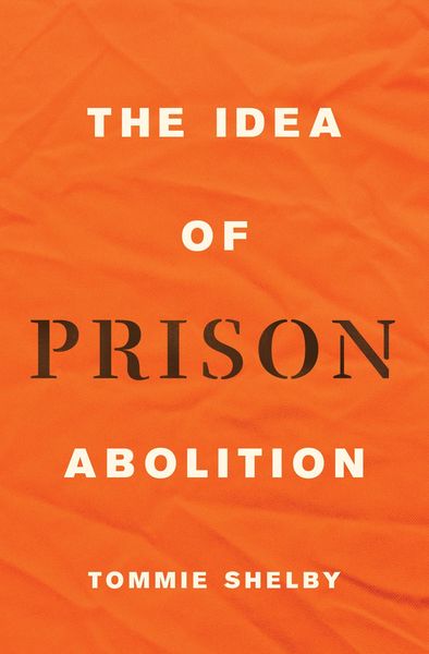 Produktbild: The Idea of Prison Abolition