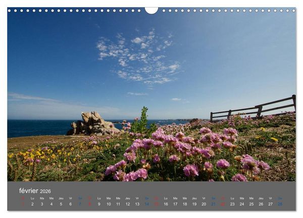 Produktbild: COULEURS d'OUESSANT (Calendrier mural 2026 DIN A3 vertical), CALVENDO calendrier mensuel