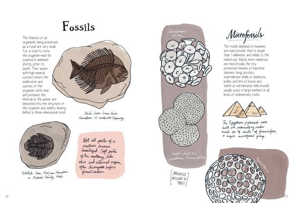 Produktbild: Nature Anatomy