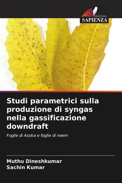 Produktbild: Studi parametrici sulla produzione di syngas nella gassificazione downdraft