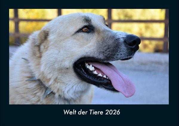 Produktbild: Welt der Tiere 2026 Fotokalender DIN A4