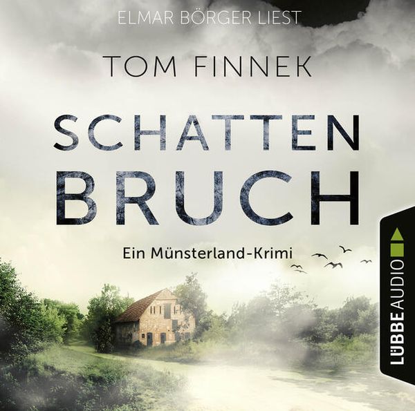 Produktbild: Schattenbruch