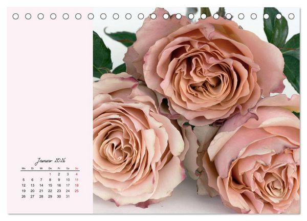Produktbild: Rosen. Charmante und edle K&ouml;niginnen (Tischkalender 2026 DIN A5 quer), CALVENDO Monatskalender