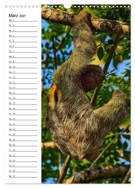 Produktbild: Costa Rica - Magische Tiere des Regenwaldes (Wandkalender 2027 DIN A3 hoch), CALVENDO Monatskalender