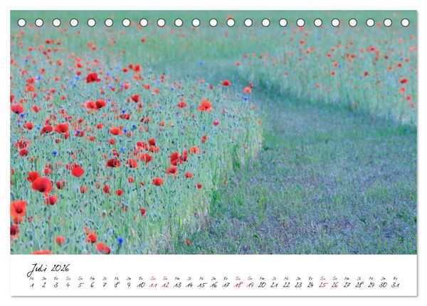 Produktbild: Mohnwiesen (Tischkalender 2026 DIN A5 quer), CALVENDO Monatskalender