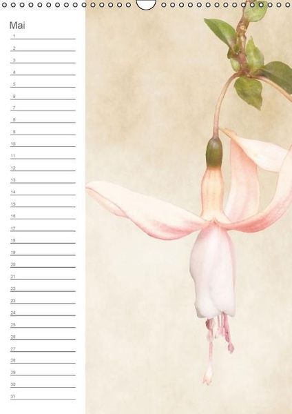 Produktbild: Zarte Bl&uuml;ten / Geburtstagskalender (Wandkalender immerw&auml;hrend DIN A3 hoch)