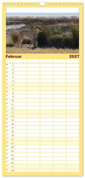 Produktbild: Familienplaner 2027 - Wildes Namibia mit 5 Spalten (Wandkalender, 21 x 45 cm) CALVENDO