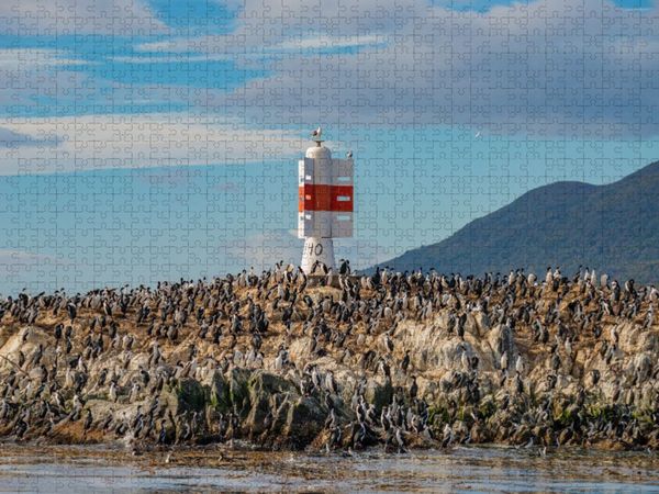 Produktbild: CALVENDO Puzzle Patagonien, Tierra del Fuego: K&ouml;nig Kormorane im Beagle-Kanal | 1000 Teile Lege-Gr&ouml;&szlig;e 64x48cm Foto-Puzzle f&uuml;r gl&uuml;ckliche Stunden