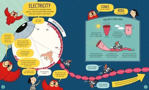 Produktbild: Usborne Book of the Brain and How it Works