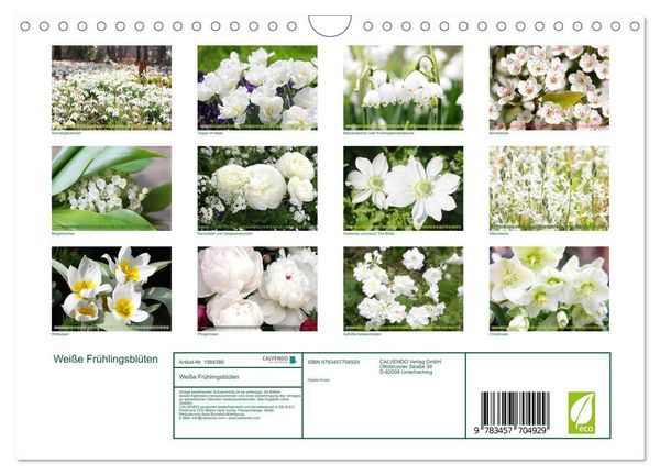 Produktbild: Wei&szlig;e Fr&uuml;hlingsbl&uuml;ten (Wandkalender 2026 DIN A4 quer), CALVENDO Monatskalender