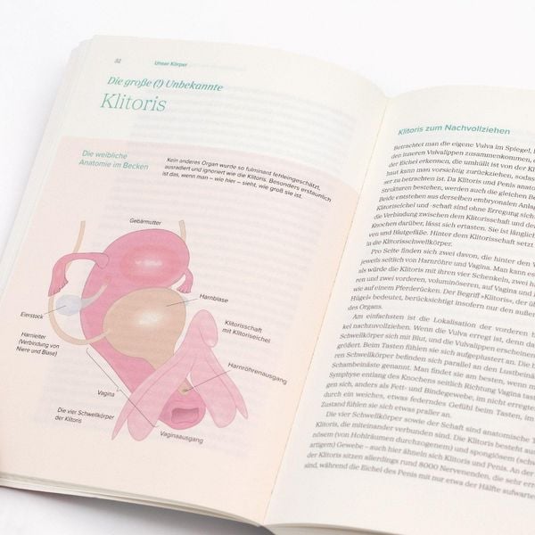 Produktbild: Das gro&szlig;e Gynbuch
