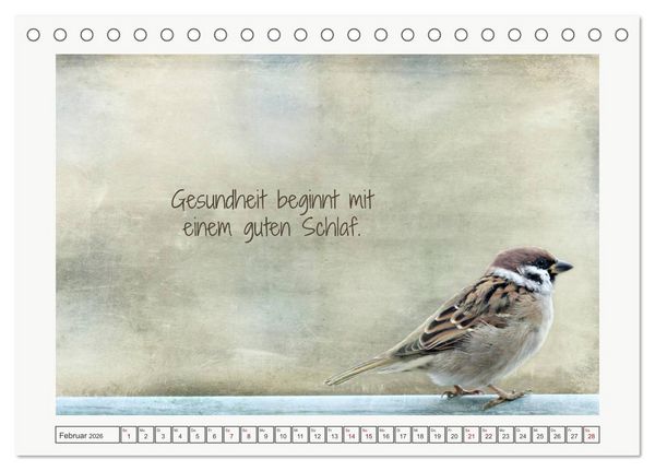 Produktbild: Irische Segensw&uuml;nsche (Tischkalender 2026 DIN A5 quer), CALVENDO Monatskalender