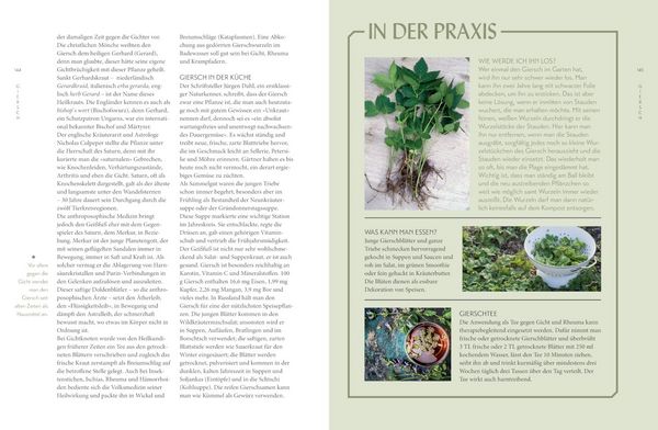 Produktbild: Die "Unkr&auml;uter" in meinem Garten