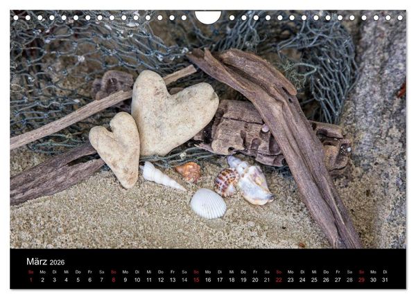 Produktbild: Strandgut und Meer 2026 (Wandkalender 2026 DIN A4 quer), CALVENDO Monatskalender