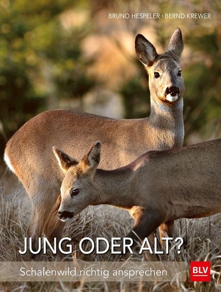 Produktbild: Jung oder alt?