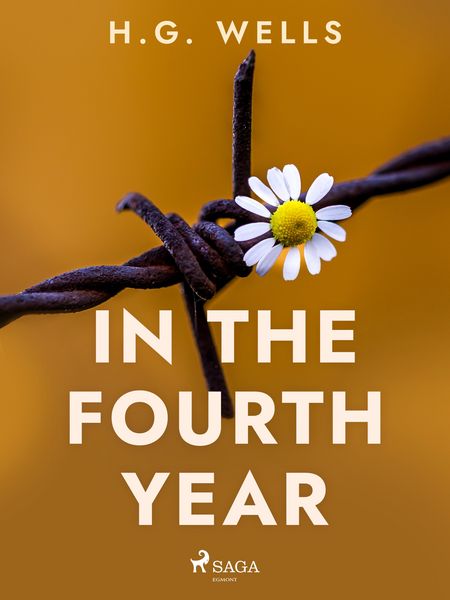 Produktbild: In the Fourth Year