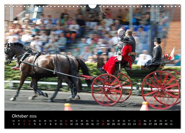 Produktbild: CIAT - Historischer Fahrsport in Celle (Wandkalender 2026 DIN A3 quer), CALVENDO Monatskalender