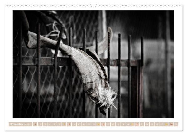 Produktbild: Sardinien Impressionen (hochwertiger Premium Wandkalender 2026 DIN A2 quer), Kunstdruck in Hochglanz